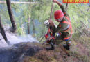 Waldbrand erneut entfacht