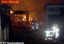 10 Stiere aus Flammen gerettet