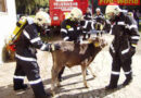 250 Feuerwehrleute bei Katastrophenschutzübung