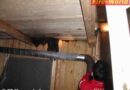 Oö: Baumhausbrand mit Mineralwasser in Zaum gehalten