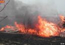 Bgld: Ausgedehnter Flurenbrand in Mörbisch