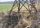 Nö: Hochstandbrand in Hof am Leithaberge