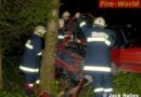Oö: Mit Pkw gegen Baum geprallt und verletzt