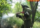 Nö: Bahndammbrand entlang der Nordbahnstrecke – Großeinsatz für Feuerwehre