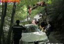 Stmk: Pkw von Fahrbahn abgerutscht und in Stäucher hängen geblieben