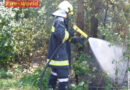 Nö: Feuer im Unterholz des Föhrenwaldes