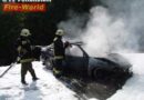 Nö: Fahrzeugbrand und Unfalleinsatz in Pottenstein