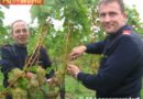 Nö: Feuerwehrwein „Löschmeister“ in Langenzersdorf