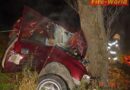 Stmk: Tödlicher Anprall an einem Baum in Mautern