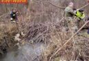 Nö: Fahrzeugbergungen und Überflutung durch Biberbau