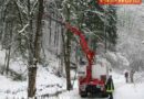 Oö: Baum drohte durch Schneedruck auf Haus zu stürzen