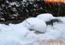 Oö: Tag 2 des Schneechaos in Ried im Innkreis