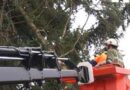 Oö: Assistenz fürs Schwarze Kreuz am Kriegerfriedhof in Marchtrenk