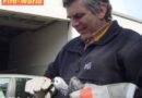 Oö: Graupapagei in Ansfelden gerettet