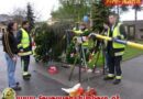 Nö: Technische Unterstützung beim Maibaumaufstellen in Himberg
