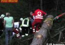 Tirol: Unter Baum Eingeklemmter erst nach Stunden entdeckt