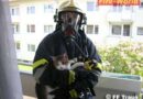 Oö: Kleine Katze bei Küchenbrand in Traun gerettet
