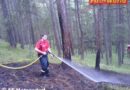Nö: Waldbrand nach Blitzschlag in Matzendorf