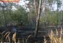 Nö: Waldbrand zwischen Deutsch Wagram und Bockfließ