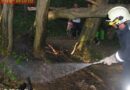 Oö: Brand im Wald durch zündelnde Kinder in St. Florian