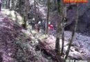 Oö: Schwerer Forstunfall in Gaflenz