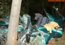 Nö: Schwerer Verkehrsunfall in Gänserndorf – Pkw gegen Baum – 1 Tote