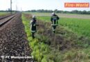 Nö: Abbremsender Zug entflammte Böschung