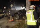Nö: Pkw bei Prellenkirchen gegen Baum geschleudert
