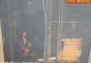 Nö: Wieder Kellerbrand in Wr. Neustadt – wieder die gleiche Adresse