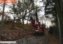 Nö: Sturmschadenseinsätze in Maria Enzersdorf