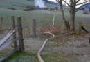 Stmk: Stallgebäude-Vollbrand in Oberhaus