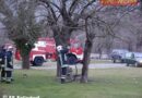 Nö: Brand eines Baumes in Felixdorf