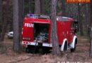 Nö: Feuerwehreinsatz nach Abbrandarbeiten im Wald bei Markt Piesting