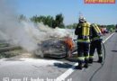 Nö: Leistungsbilanz 2006 der FF Baden-Leesdorf