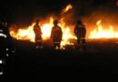 Bgld: Wieder Brand im Nationalpark Neusiedlersee in Illmitz