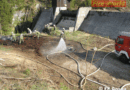 Oö: Waldbrand im Bereich Stausee- Gosau Hintertal
