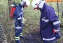 Oö: Kleinbrand in Marchtrenk rasch gelöscht