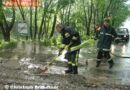 Nö: Unwettereinsatz nach Starkregen in Gloggnitz