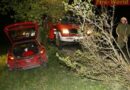 Nö: Pkw-Anprall an Baum unverletzt überstanden