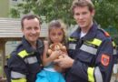 Nö: Kind von Baum gerettet-  Amstetten