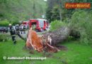Stmk: Baumbergung in Rehabilitationsklinik