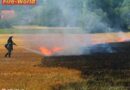 Oö: Flächenbrand in Wallern