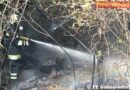 Nö: Feldbrand in Gänserndorf griff auf angrenzendes Waldstück über