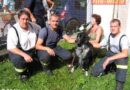 Oö: Zwei Hunde in Vöcklabruck von Feuerwehr gerettet