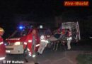 Sbg: Srung zweier Personen in die Salzach – FF Hallein rettete diese!