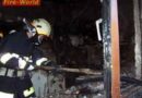 Nö: Meerschweinchen stirbt bei Wohnungsbrand