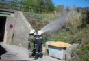 Nö: Kleinbrand am Bahnhof Strasshof