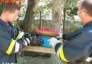 Oö: Feuerwehr Wels als Fledermaus-Fänger