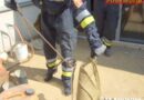 Nö: FF Amstetten auf Schlangenfang