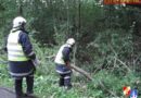Bgld: Sturmschaden zwischen Pinkafeld und Ehrenschachen
